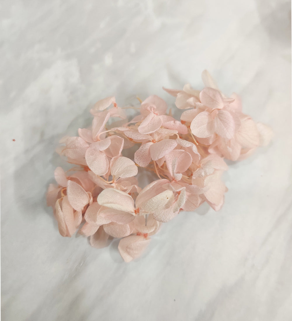 Pink Dried Hydrangea Flower