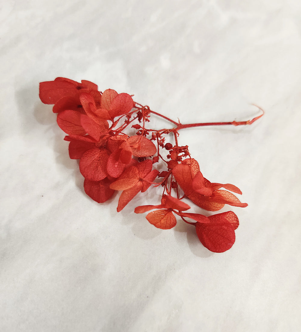 Red Dried Hydrangea Flower