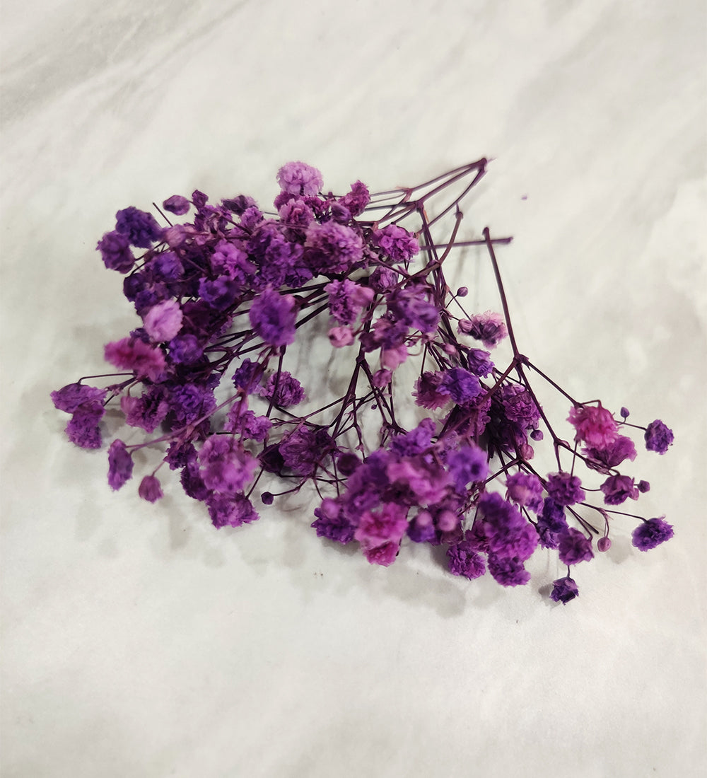 Purple Baby Breath/Gypsy