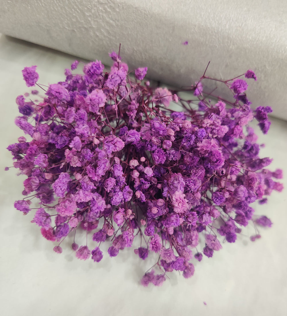 Purple Baby Breath/Gypsy