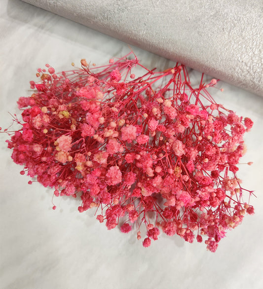 Pink Baby Breath/ Gypsy
