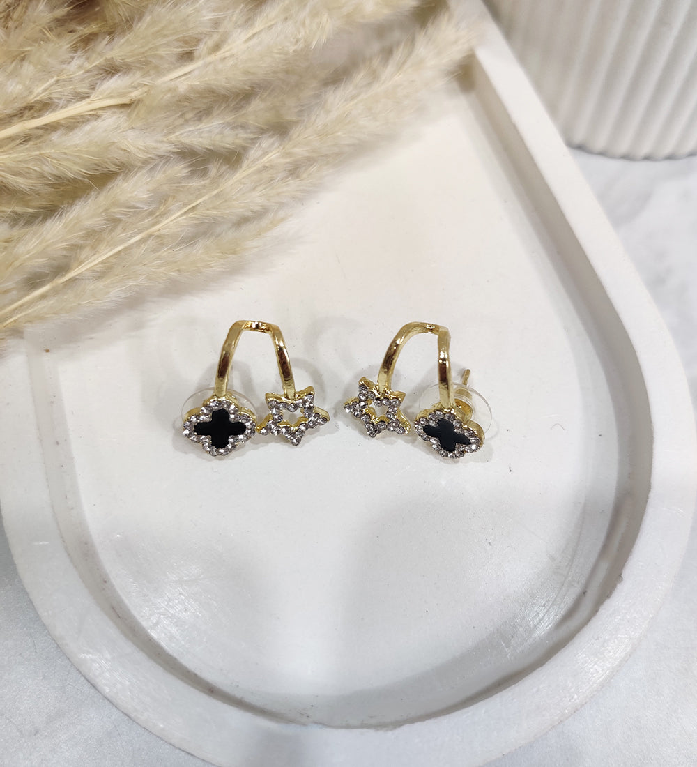 Star Clove Stud
