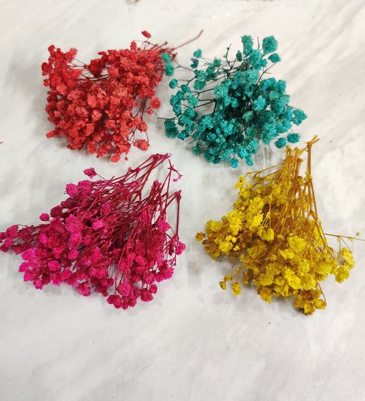 Mix Gypsy/Baby Breath Box