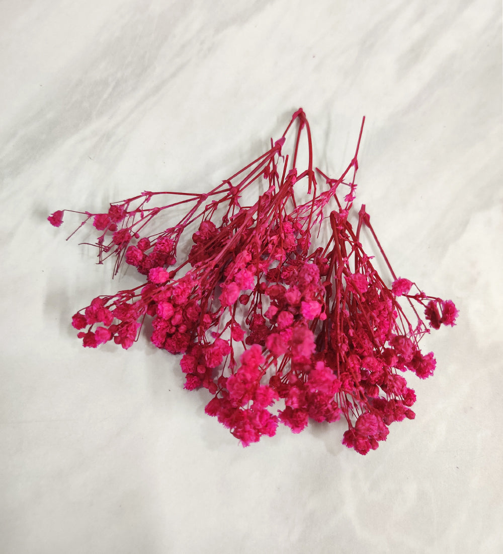 Mix Gypsy/Baby Breath Box