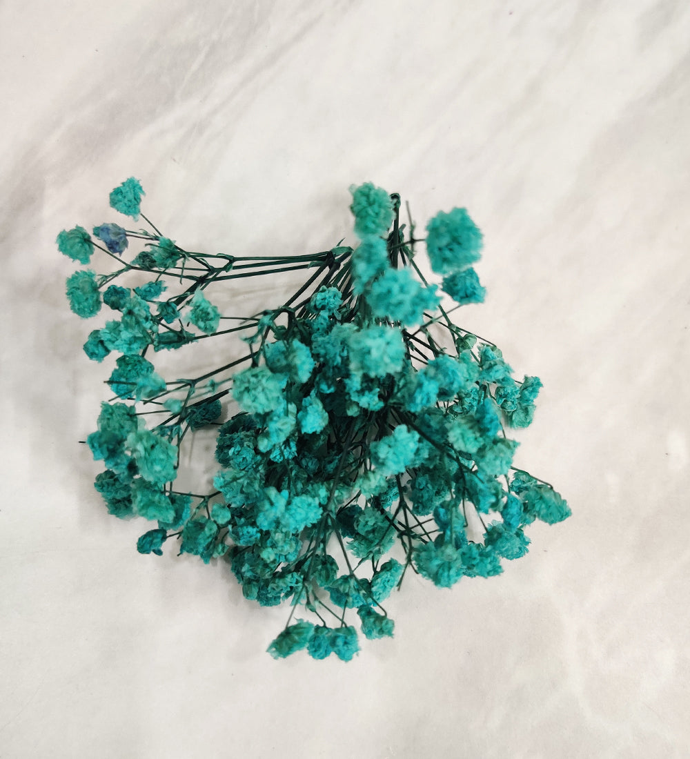Mix Gypsy/Baby Breath Box