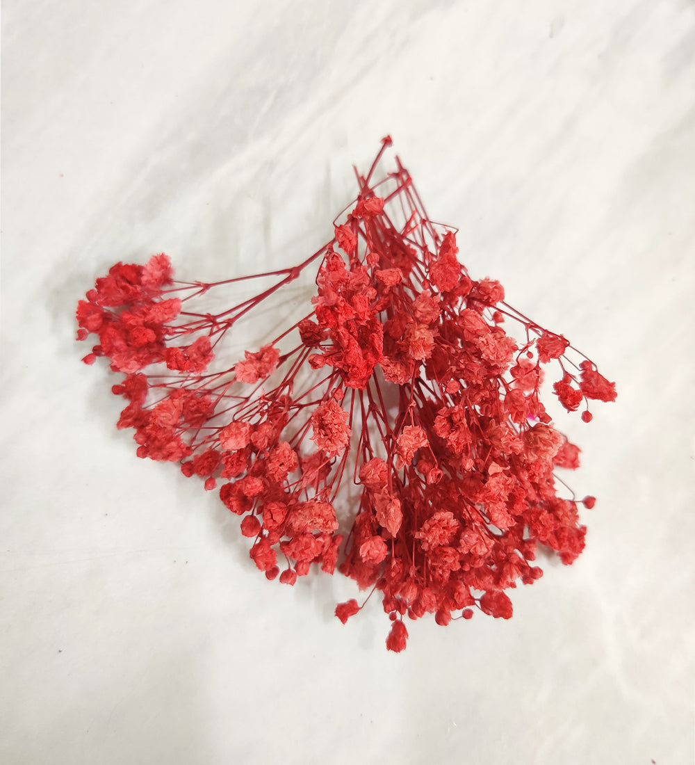 Mix Gypsy/Baby Breath Box