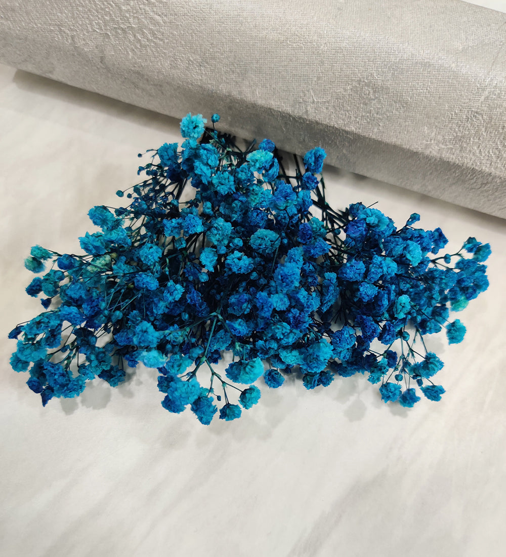 Light Blue Baby Breath /Gypsy