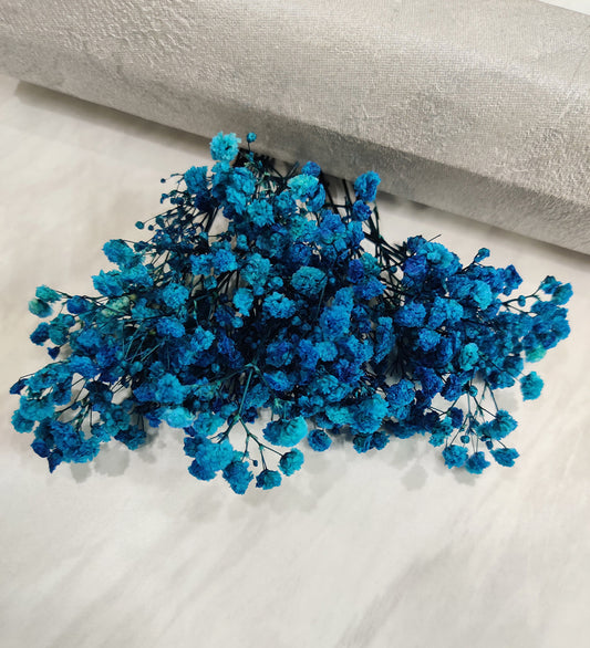 Light Blue Baby Breath /Gypsy