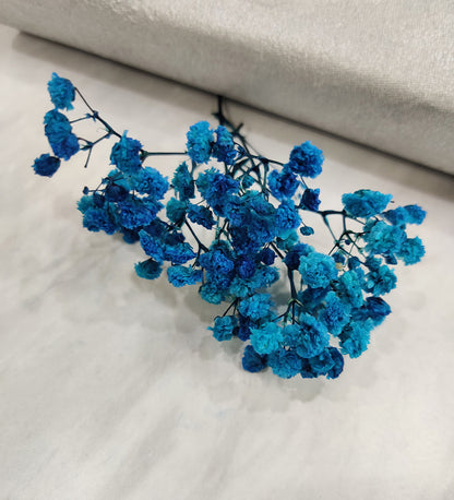 Light Blue Baby Breath /Gypsy