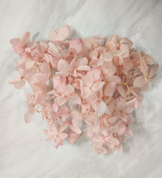 Pink Dried Hydrangea Flower