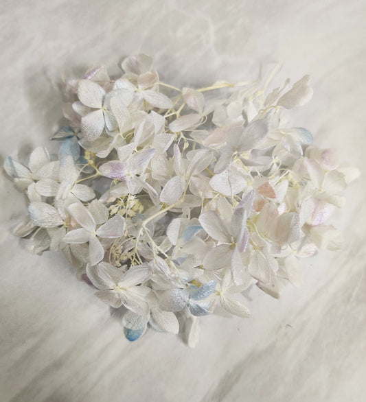Rainbow Shade Hydrangea Flower