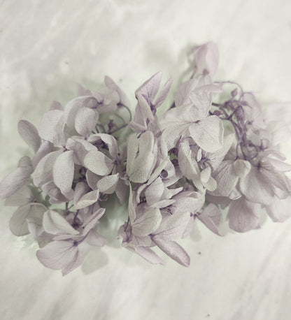 Purple Dried Hydrangea Flower