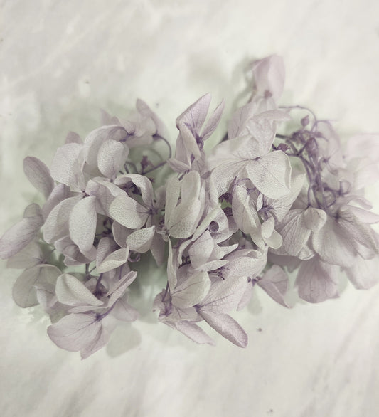 Purple Dried Hydrangea Flower