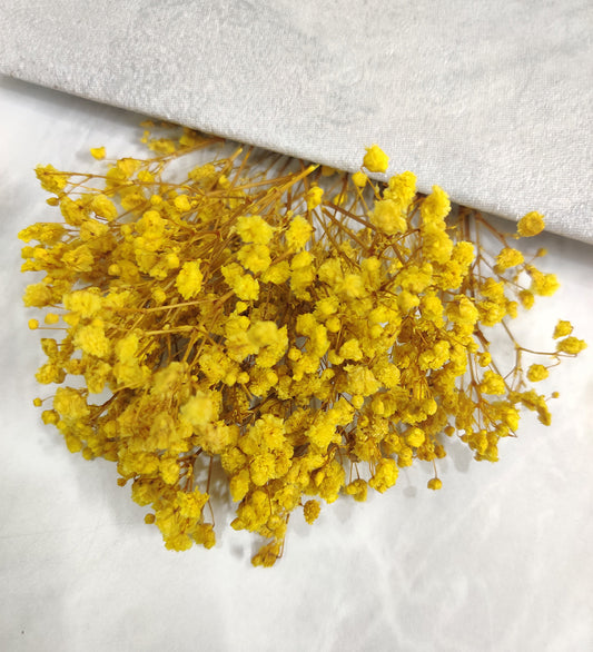 Yellow Gypsy/Baby Breath