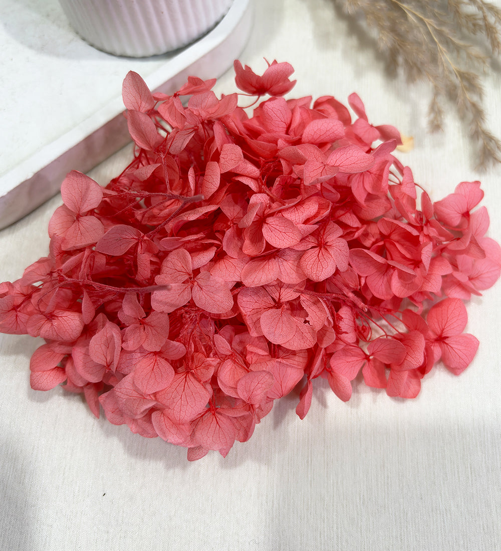 Blush Pink Dried Preserved Hydrangea