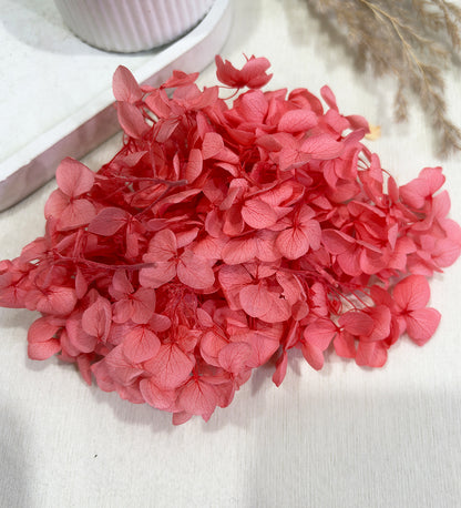Blush Pink Dried Preserved Hydrangea
